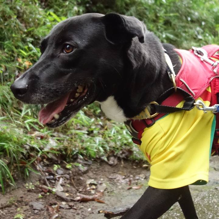 198b20d7 1573 4f16 904e 3d8a2aacbe41 1629075441835