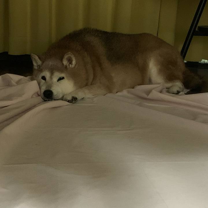 198b4bbe a35d 4571 8d70 0e813255430e 1661522102348