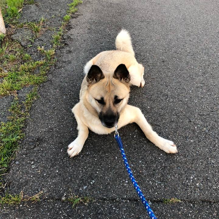 198c0010 3da7 46d0 9c79 b2043779d7f0 1526299625059