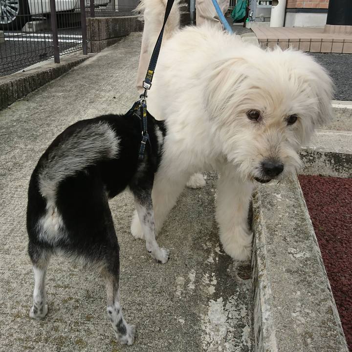 198c1520 84e4 40dd a512 deabd76d3daa 1602392451133