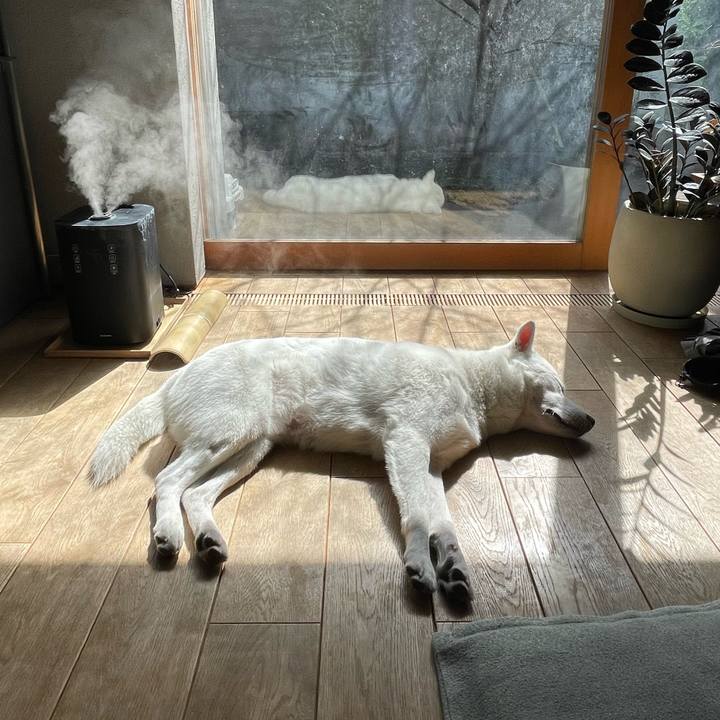 198c2ec4 e033 4053 b5db 0b288ba3b805 1645328183297