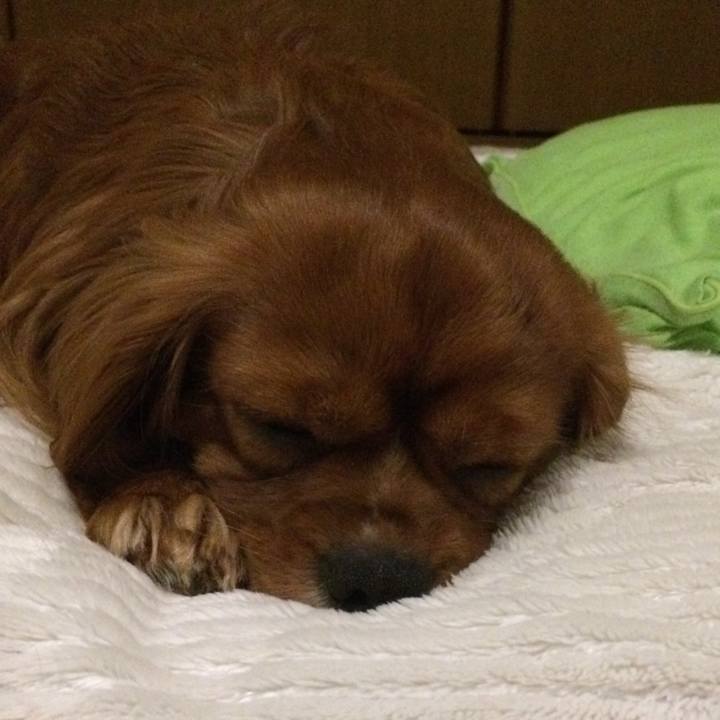 198c6dfa 052d 4c1a 9c00 c010fafd2fcb 1524574856265