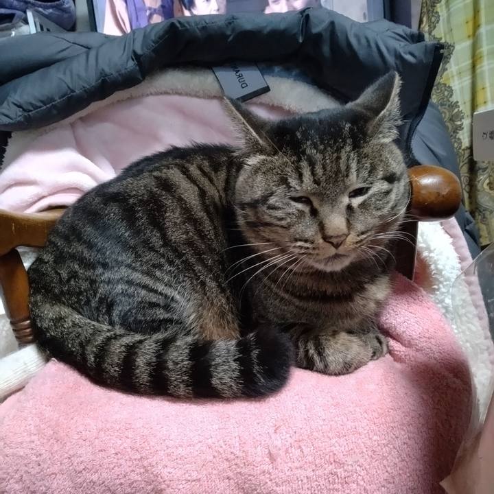 198c906b aaf8 4509 941e a90dd03ea072 1673334672564