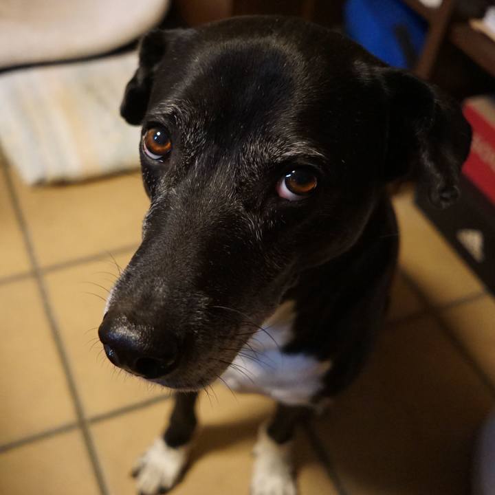 198cad41 6b35 48d5 ba33 b2b1f40ee4b7 1764026894450