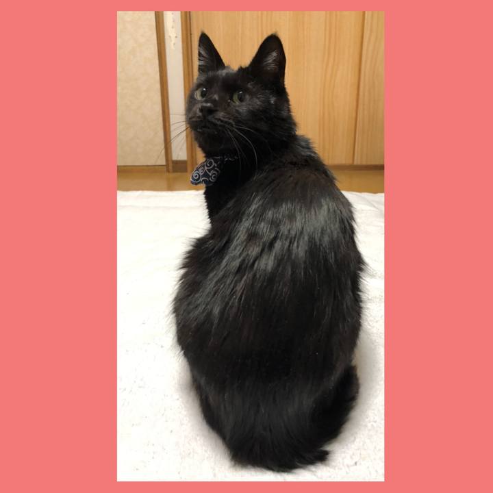 198cbc2f 7b0c 4f22 b569 68e71e0e750d 1578217862902