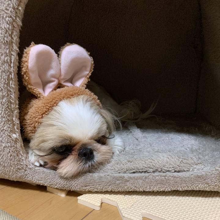 198cbdc8 0ee5 49fc 92b9 83ee5a183027 1582773893370