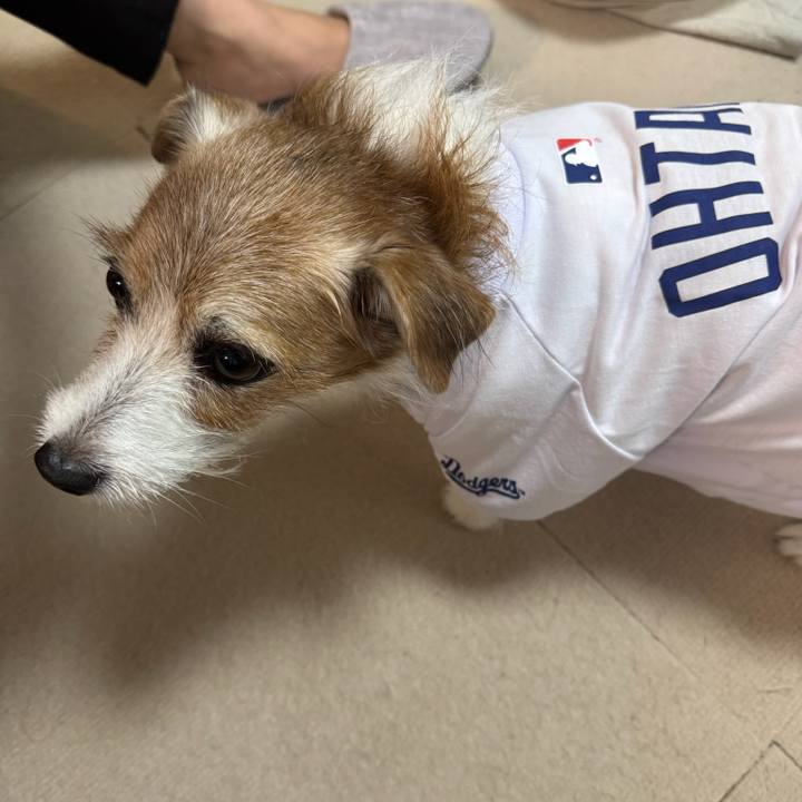 198cc2fd f966 4037 b578 97ba77c9d0c5 1762051715704