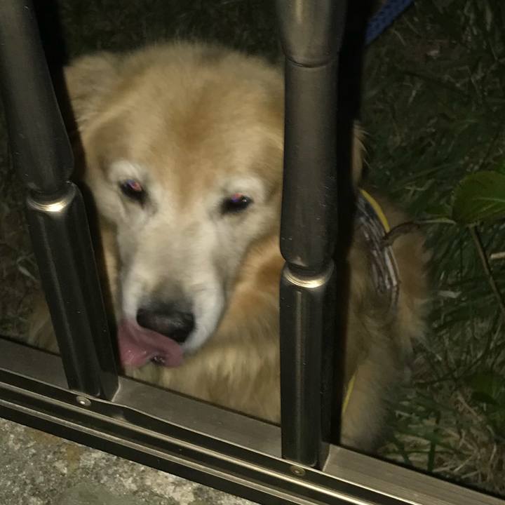 198cc5cb cf5f 4e2b 85a0 c7167db596cb 1509614237588