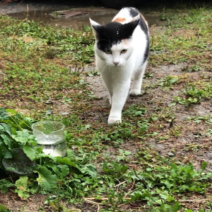 198d08f3 b6d7 421f 8144 3581e92523a5 1603319629598