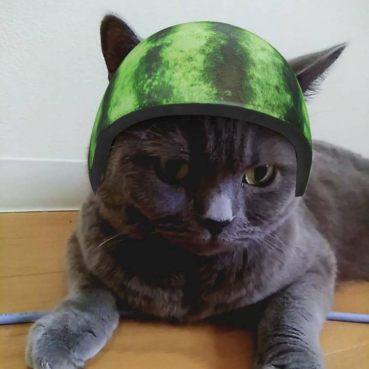 198d38f8 6387 4c83 b6a7 59173759bfd4 1564203499188