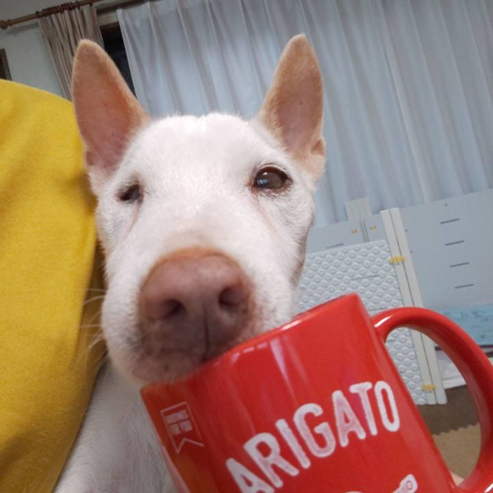 198d54c7 33d2 436d a23c 35f253a0b941 1566255549221