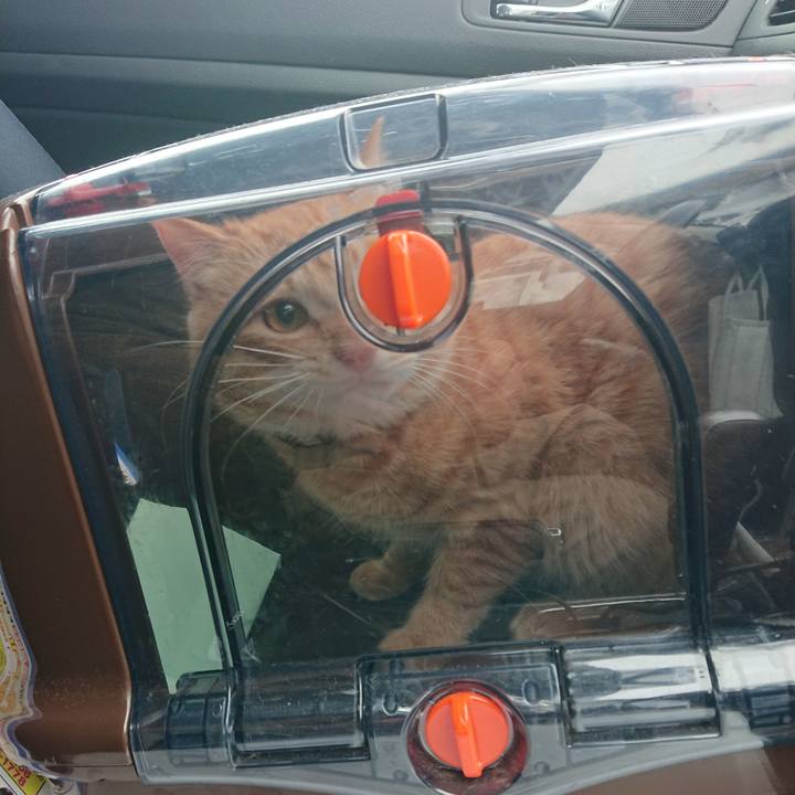 198d55cc cbc4 4d06 b95a 38b8e217c74e 1645494191666