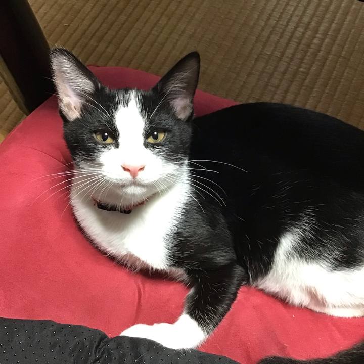 198dfb6b 267e 4e61 a293 6aba61636504 1628819542908