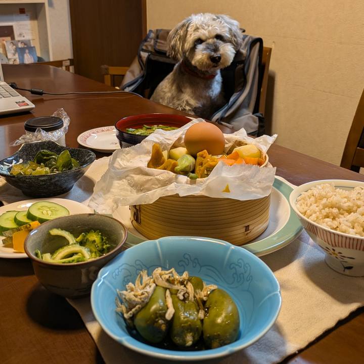 198e192d e33d 4074 9924 8ba65bb7b39a 1754337005662