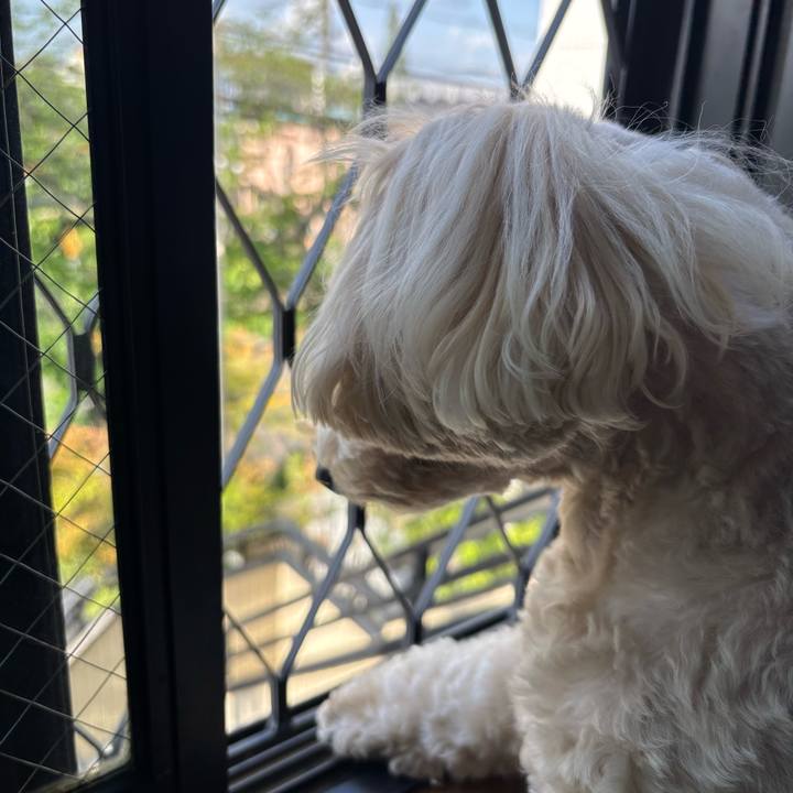 198e1dbf b0f8 497a b118 7f9fd855e12b 1776917906076