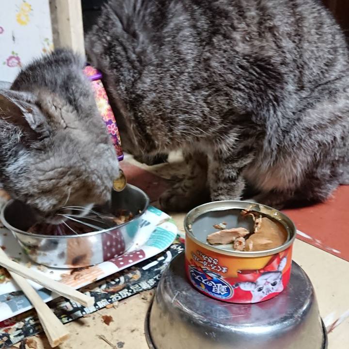 198e45c0 17c3 479f a79c 52349c723b09 1592912516597