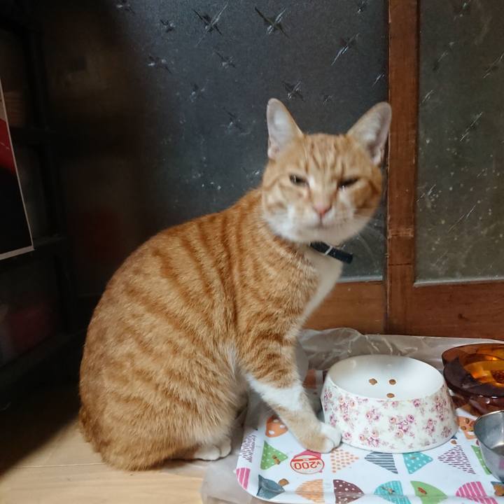 198e5191 c66e 44ea b1ad 6d196c65ab96 1603272606786