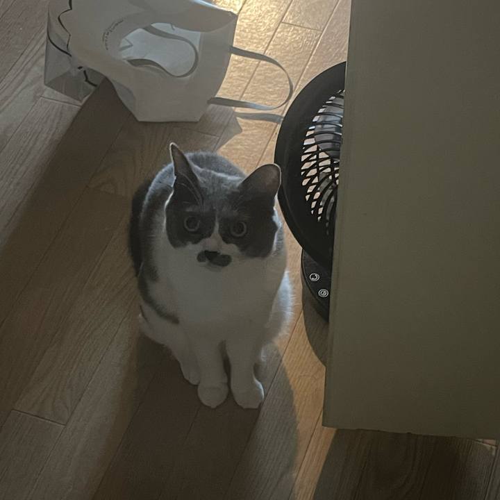 198e75a5 1934 42c2 b8e3 a5ad2f57c251 1754722573633