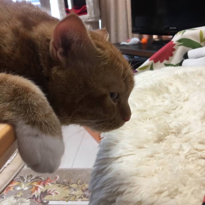 198e8689 5dfb 4a2f 917a 1cf27e7ecb8d 1536883636908