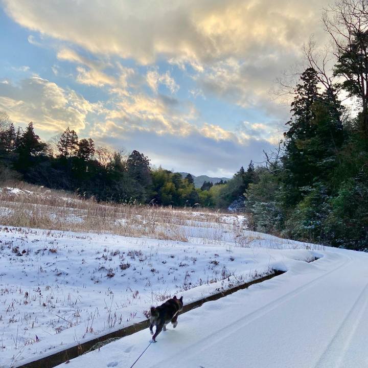 198eb60a 5575 48b7 8f44 b35366f586a4 1645662630647