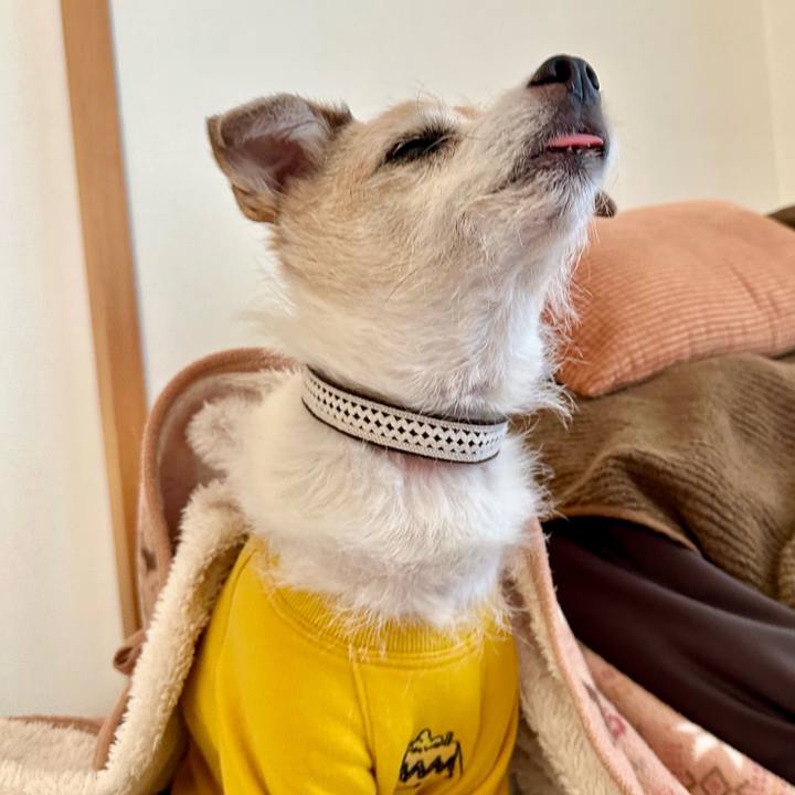 198ebb10 b055 4d1a b22d 5b60dabc9c26 1706586365201