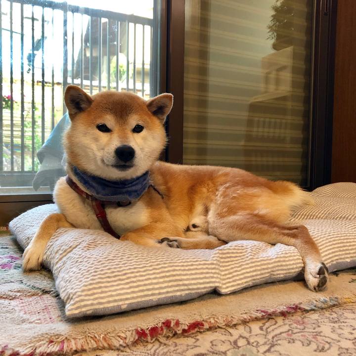 198f09a3 2a02 46c9 bcba debf1452d118 1558863280549