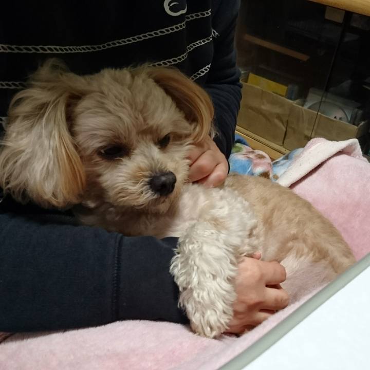 198f107a 75d7 4b67 a60d 32c1350aca3e 1510236347422