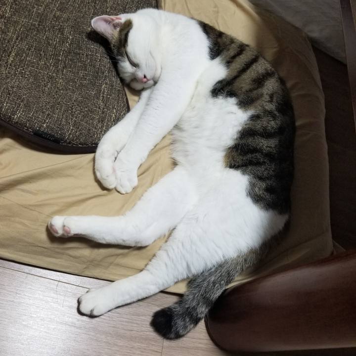 198f21af e512 41e9 b8a5 ee8aff693912 1606167439245