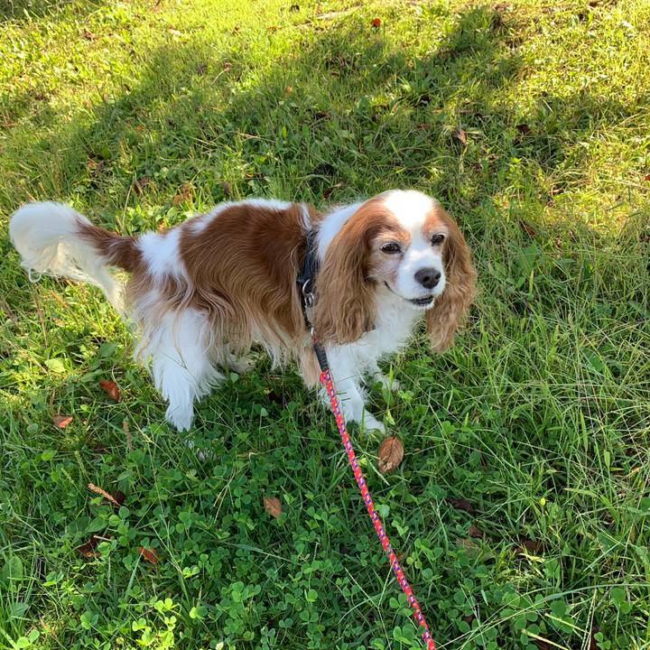 198f4b53 b26a 41e8 bc36 45886aaf80b1 1570687741096