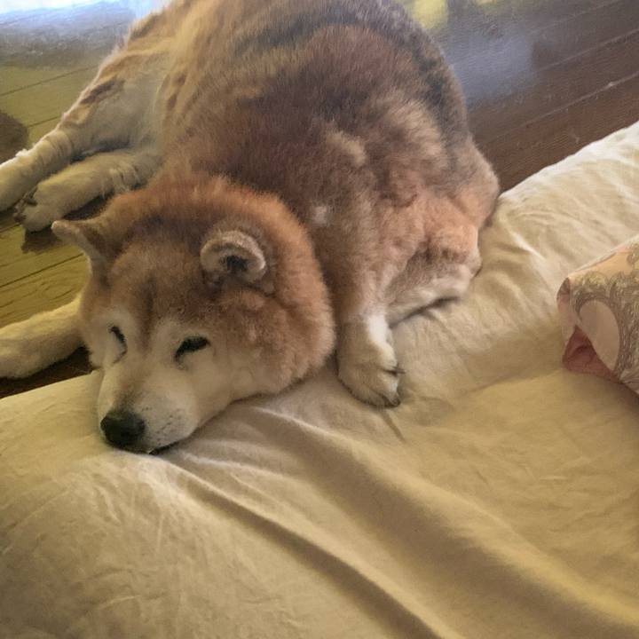 198fa059 93a4 404a b147 a28527a08342 1653433271211