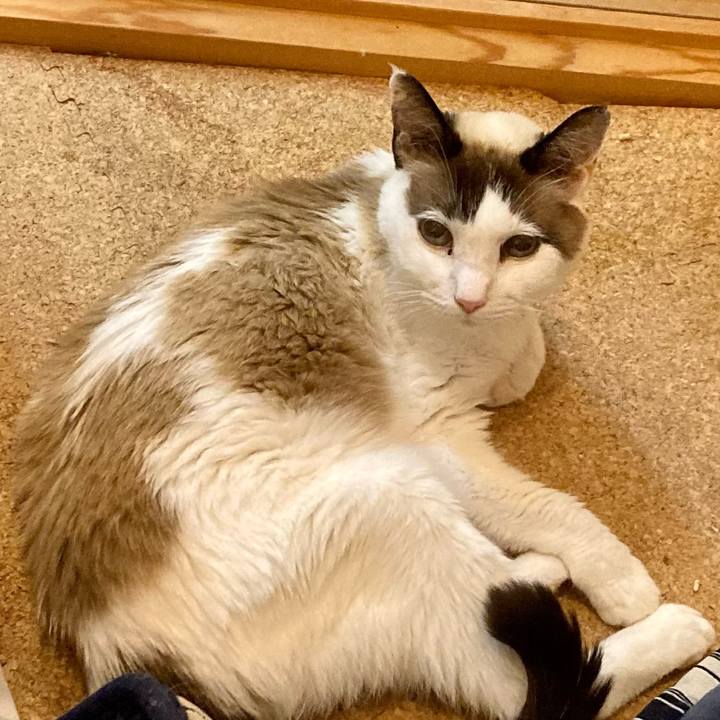 198fd34f 6ceb 4f48 bbde 84d4188c2c70 1677669061947