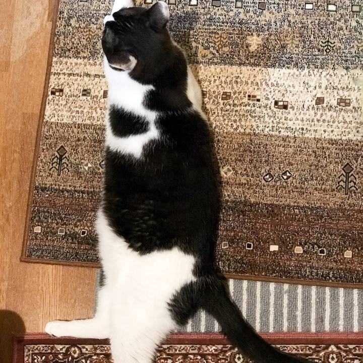 198fe0da 8335 4249 957b b2ff5c2dec6d 1528728581489