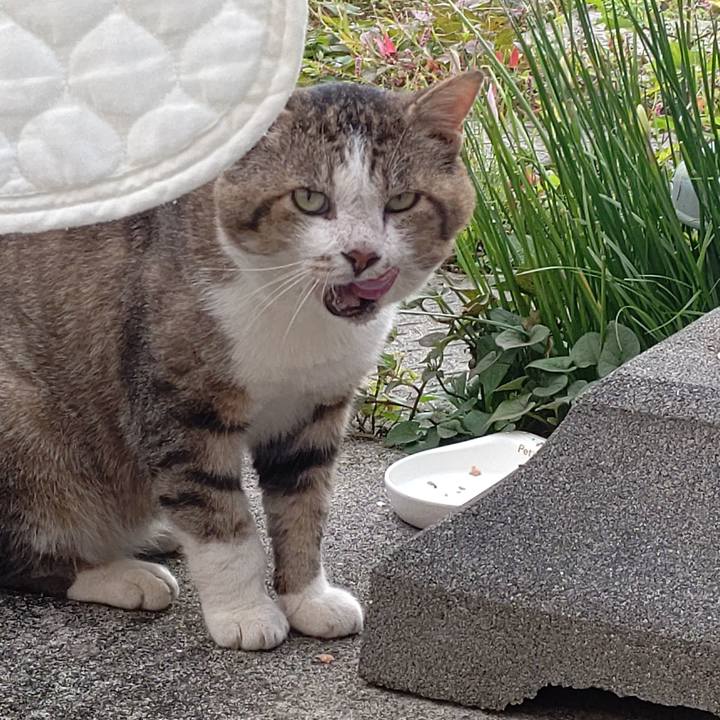 198ffe7f 2c8c 425a 872a 83403101c8c1 1641285152151