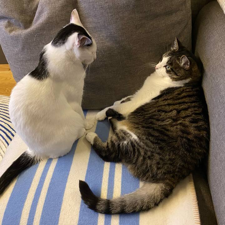 19902f32 53b5 47d4 9943 4c81c56c20fd 1745590996879