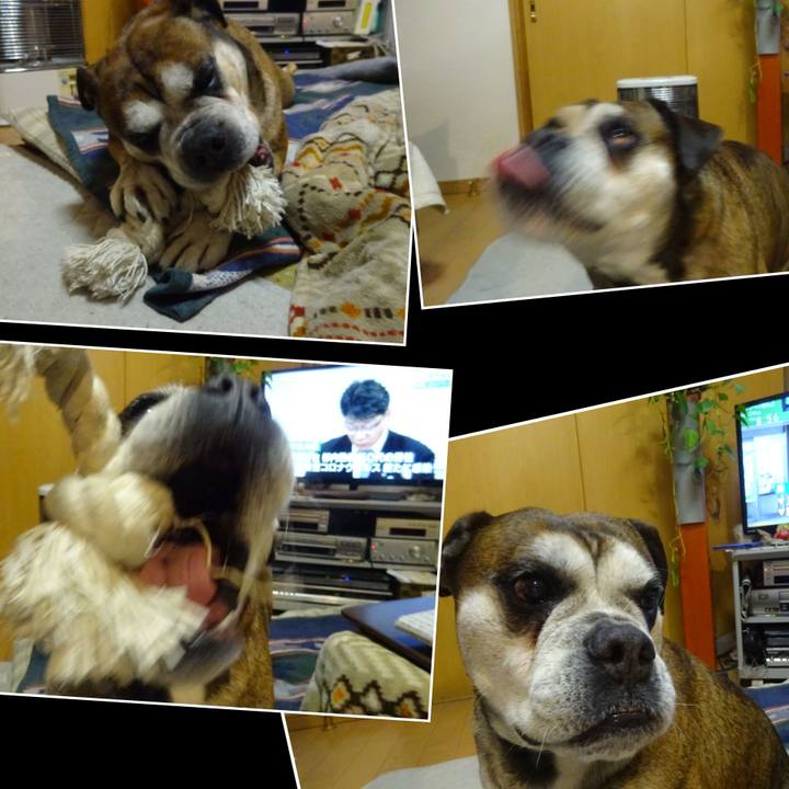 19903e09 5f4f 45f1 bb15 3f41e6088bc5 1582555708669