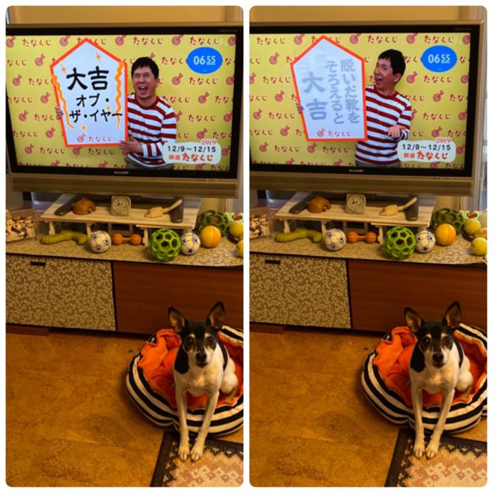 199042d3 5df7 4cd7 a554 e2bc03ff4244 1575843128653