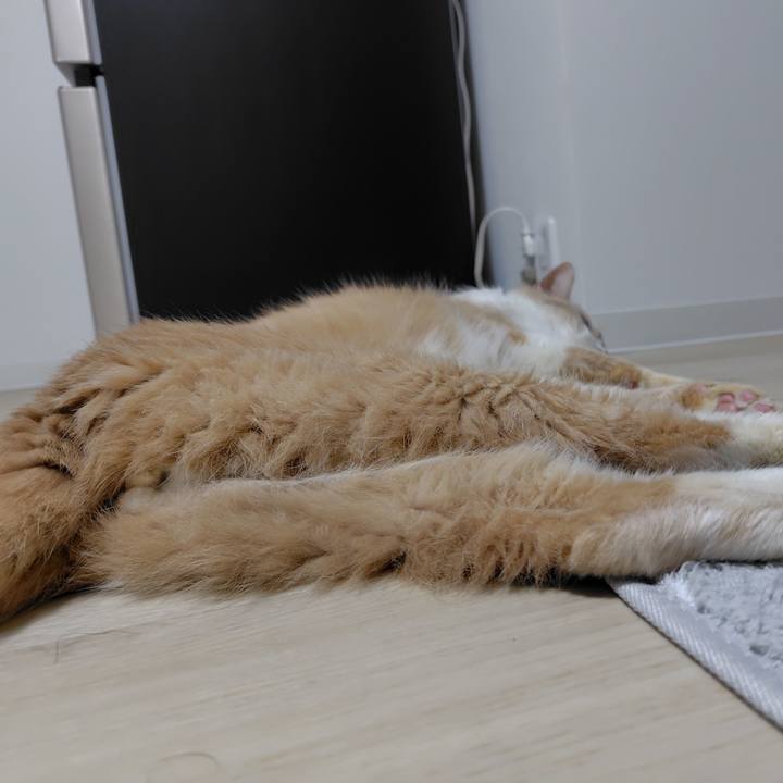 199086f6 11d1 488e af23 c4d326337fcb 1721474775857