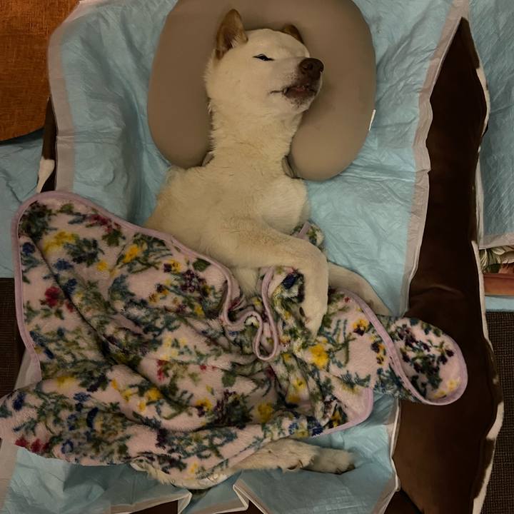 1990b46a 04a1 4fcc a150 802b16212fd8 1667385841881