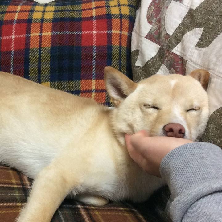 1990c354 3a4e 471c 8706 718d7e25e285 1512905966365