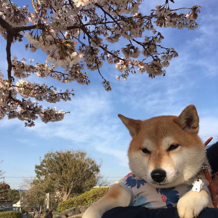 1990d124 f851 4aa8 977c 1ca77aa92bb7 1554450149894