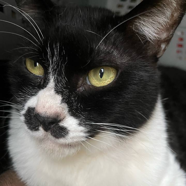 1990dc0e 52ef 480b a12c 152008c760c8 1713841923113