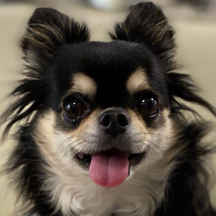 199108b0 7280 4f5b 9a01 7199836ae47f 1658565424711