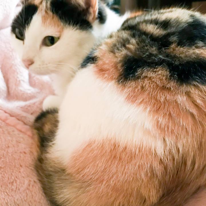 19912ea5 9fb4 4eb1 8e40 3db929e501c4 1516767809451