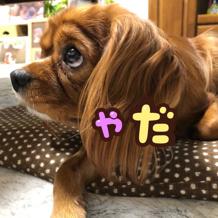 19919432 0048 4b71 9b13 59298e1deda7 1571228292034