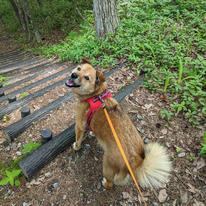 19919f28 0589 4a70 8cc4 7e3ee143025e 1654092569949