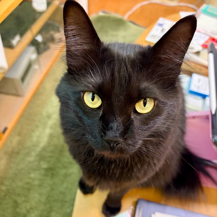 1991aa76 8e38 4986 9466 024f84c3c9b3 1773048696050