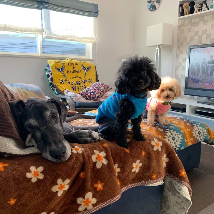 1991b85f 25a1 48d0 aab0 7cff5d02c0c3 1607294807364