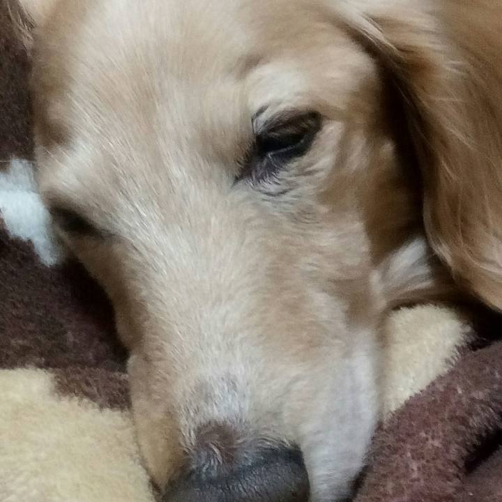 1991f229 c23b 4879 8361 edb5938952aa 1544187367625