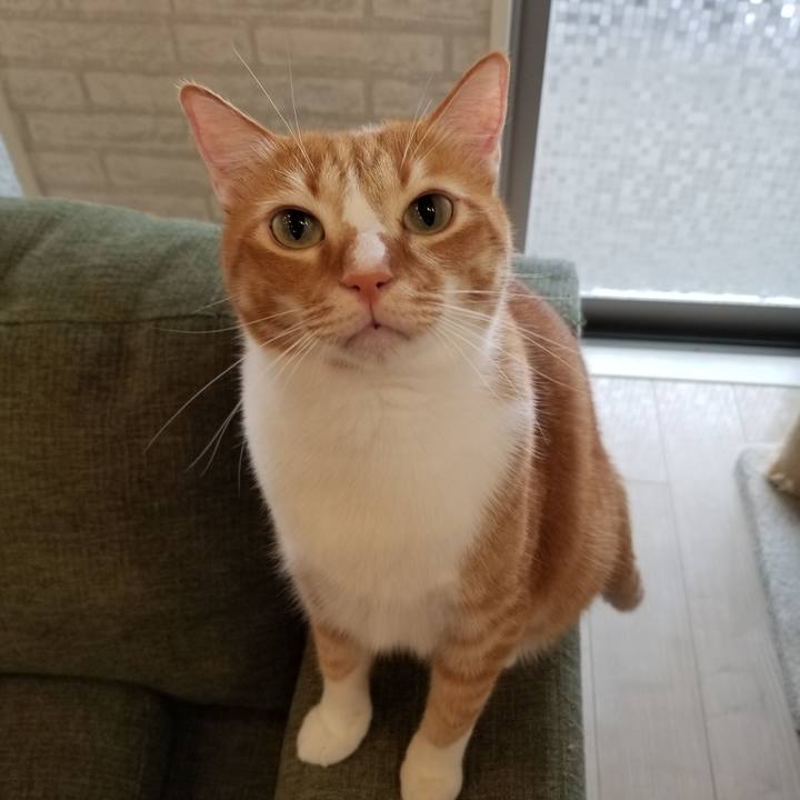 19921d60 682f 4fd7 9ade 710e091932dd 1591066049556