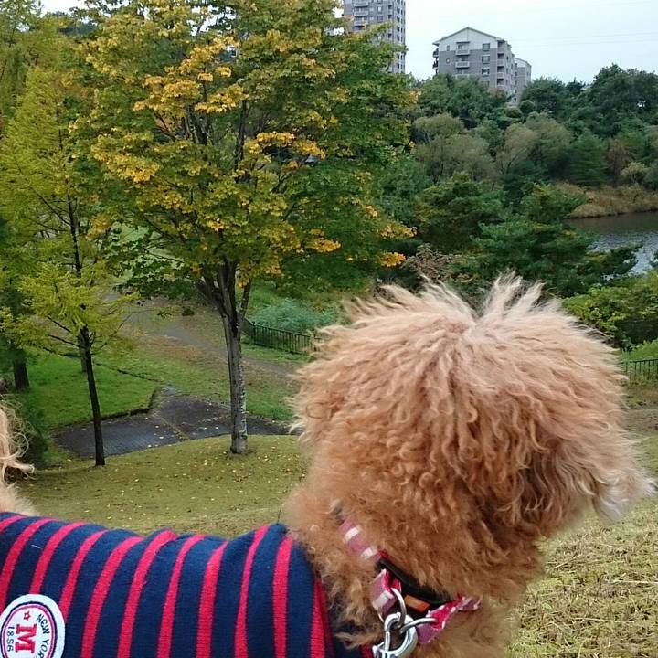 19921e6e bdc0 4fed bcd4 a76585094144 1508633352836